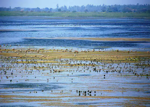 Wadhwan Lake