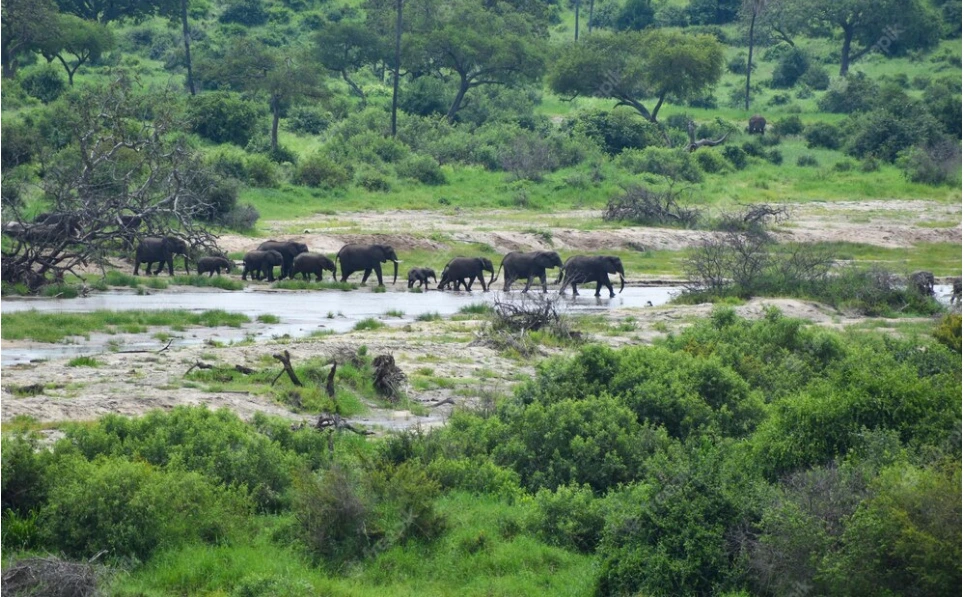 Bhimbandh Wildlife Sanctuary